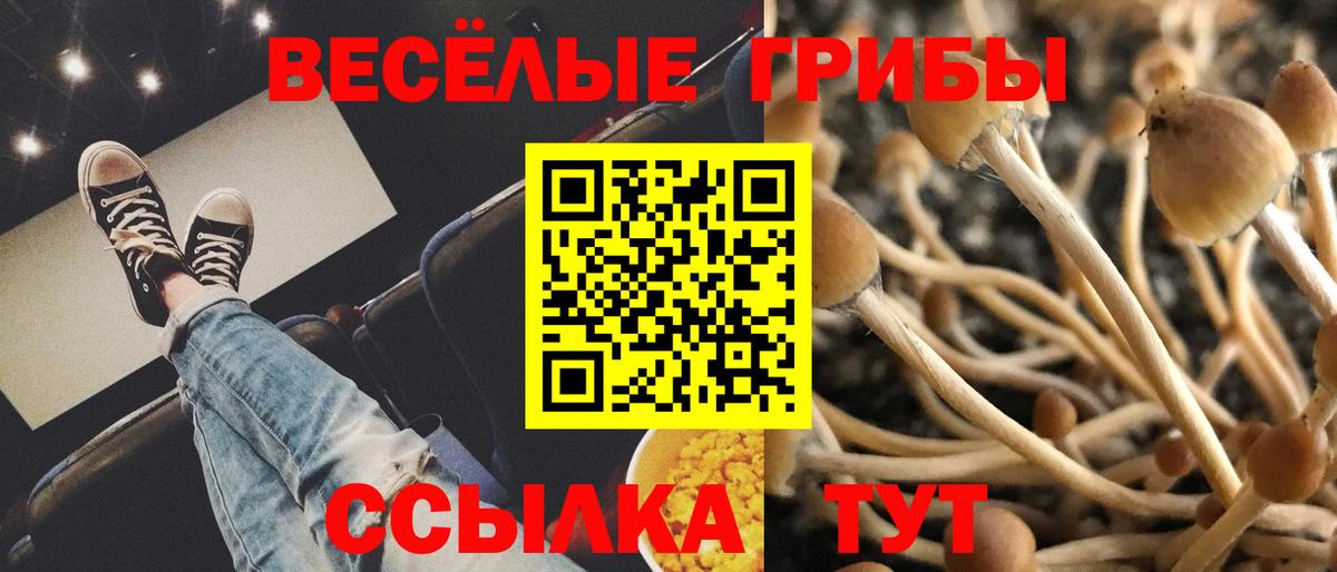 Трёхгорный  Псилоцибиновые грибы GOLDEN TEACHER  Вход с VPN 