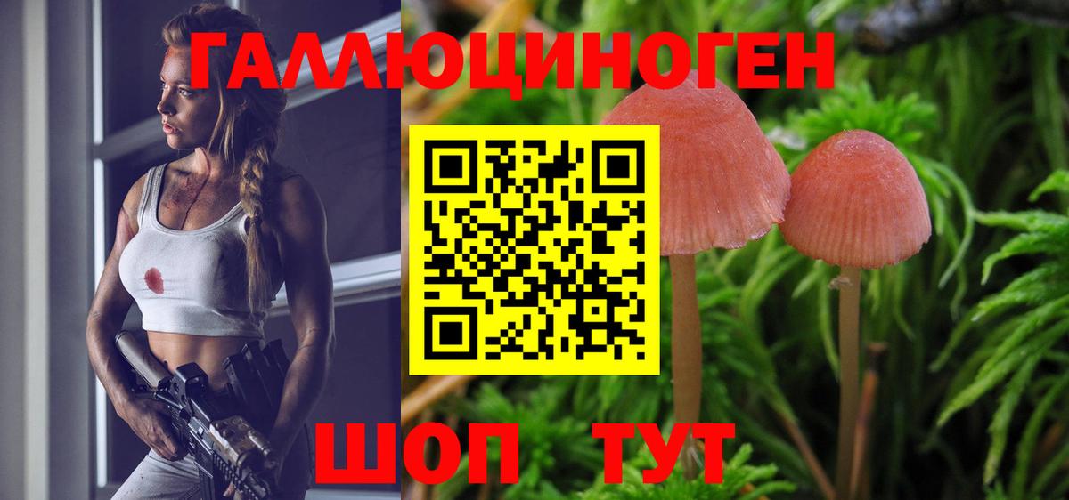 Галлюциногенные грибы MAGIC MUSHROOMS Трёхгорный