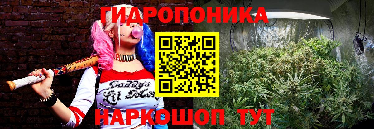 Конопля White Widow  Бошки марихуана конопля  Трёхгорный  Вход с VPN 